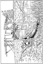 coloring page Vincent van Gogh
